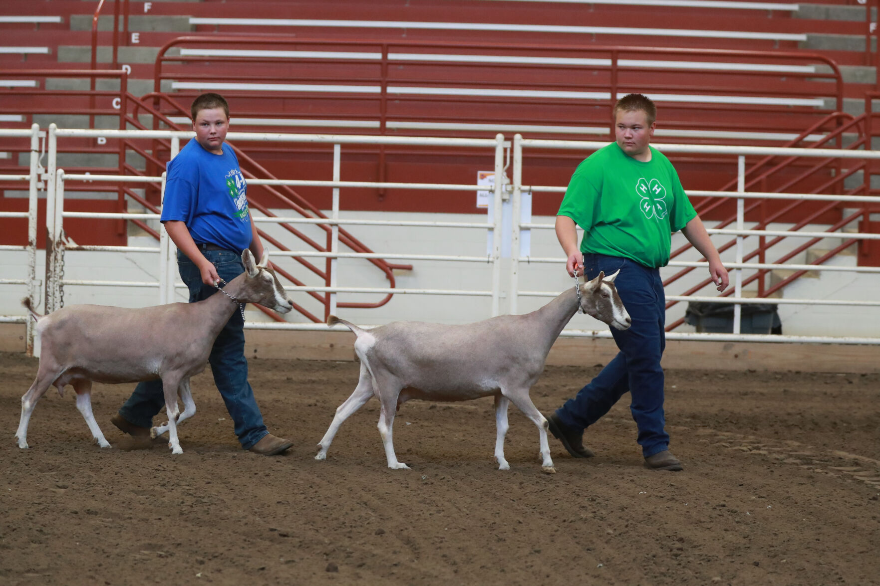 072320_HCFGoatShow002_bjs.JPG